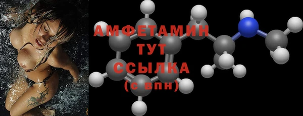 гашик Карпинск