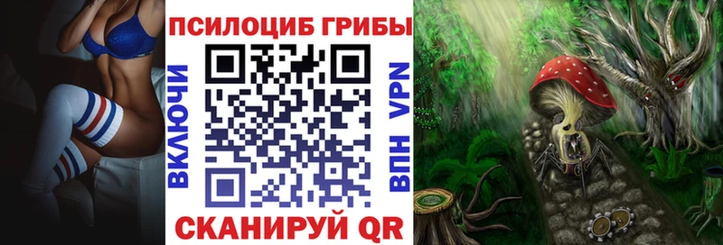 Псилоцибиновые грибы прущие грибы  Купить где  Славск 